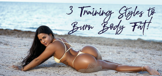 3 Training Styles to Burn Body Fat!-WBK FIT